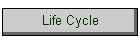 Life Cycle
