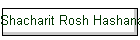 Shacharit Rosh Hashana